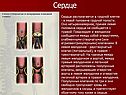 Сердце