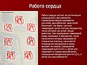 Работа сердца