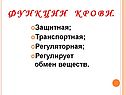 Кровеносная система организма