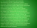 (система кровообращения), группа органов, принимающих участие в