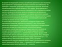 Во время последующей систолы желудочков давление в них становится выше
