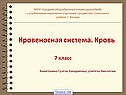 Кровеносная система