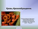 Кровь