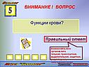 Функции крови
