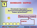 Структурно-функциональная единица