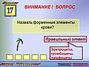 Форменные элементы крови