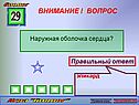 Наружная оболочка сердца