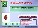 Отделы сердца