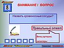 Кровеносные сосуды