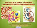 Кровь и кровообращение
