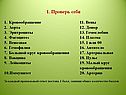 Вены Аорта