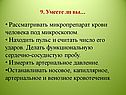 Микропрепарат крови человека