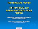 Тип плоские черви тип круглые, или первичнополостные черви