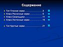 Содержание