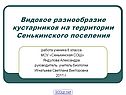 Видовое разнообразие кустарников