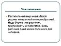 Растительный мир