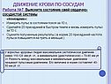 Движение крови по сосудам