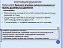 Регуляция дыхания