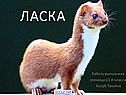 Ласка