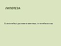 Растения и животные