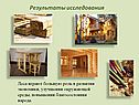 Лес - бесценный дар природы