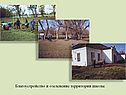 Благоустройство и озеленение территории школы