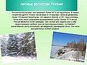 Лесные богатства России