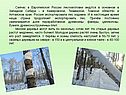 Лесозаготовки ведутся в основном в Западной Сибири