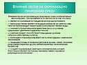 Влияние лесов на окружающую природную среду