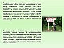 Посадкой саженцев забота о новом лесе не ограничивается