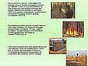 Части лесного участка, относящегося к землям лесного фонда