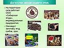 ООО «Сибирская ягода»