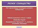 Лесное сообщество
