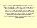 Разнообразие насекомых