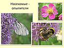 Опылители