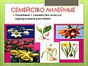 Семейство Лилейные