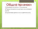 Параллельное или дуговое жилкование