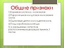 Одиночные цветки
