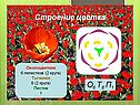 Лилейные растения