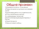 Кисть