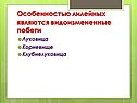 Видоизмененные побеги