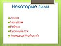 Некоторые виды