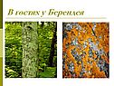 В гостях у Берендея