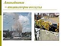 Лишайники – индикаторы воздуха