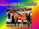 Кое-что о лошадях