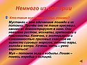 Немного из истории
