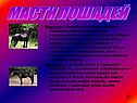 Масти лошадей