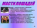Масти лошадей