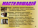 Масти лошадей