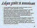 Азбука ухода за лошадьми